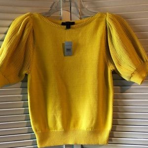 Ann Taylor Sweater